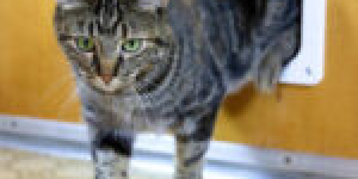 10 Untrue Answers To Common Cat Door Assembly Questions Do You Know The Right Answers?