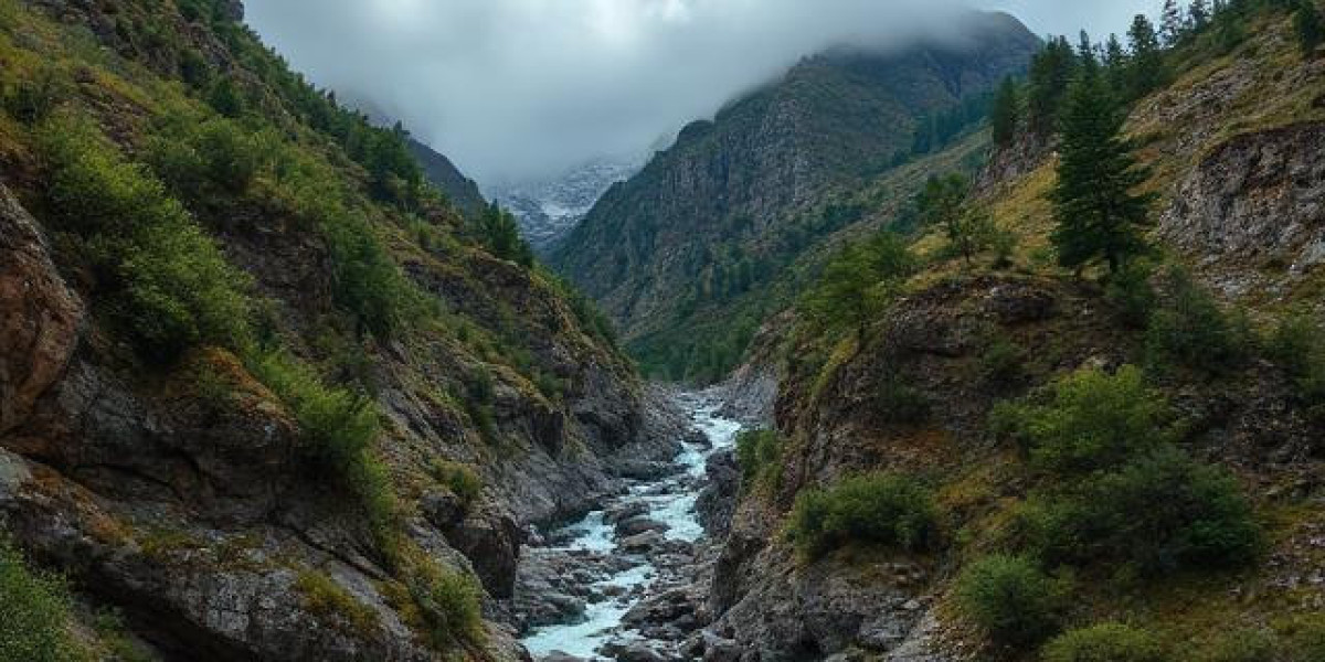 Escape to the Hills: A Simple Mussoorie Tour for Everyone