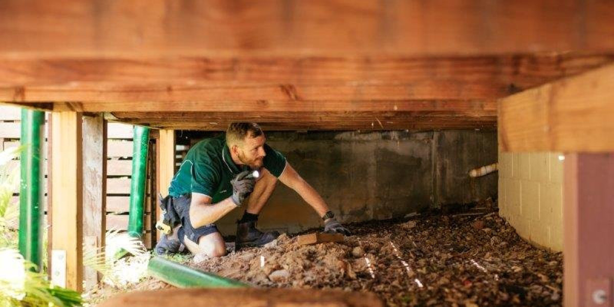 Termite Inspection in New Jersey